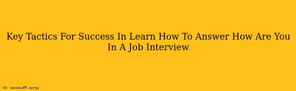 Key Tactics For Success In Learn How To Answer How Are You In A Job Interview