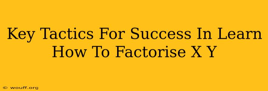 Key Tactics For Success In Learn How To Factorise X Y