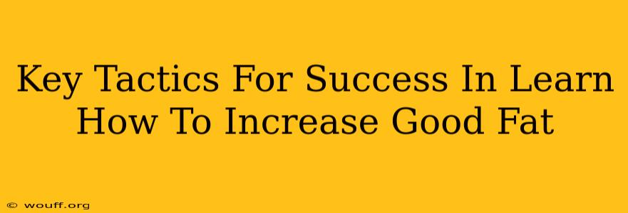 Key Tactics For Success In Learn How To Increase Good Fat