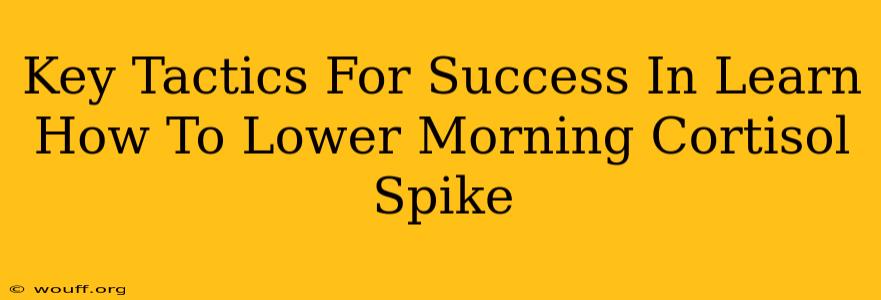 Key Tactics For Success In Learn How To Lower Morning Cortisol Spike