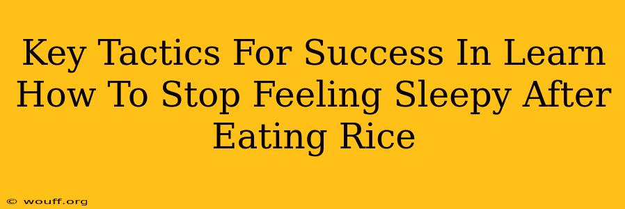 Key Tactics For Success In Learn How To Stop Feeling Sleepy After Eating Rice