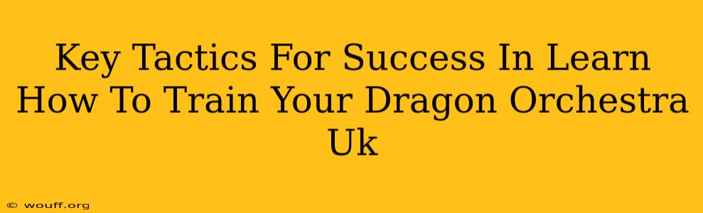 Key Tactics For Success In Learn How To Train Your Dragon Orchestra Uk