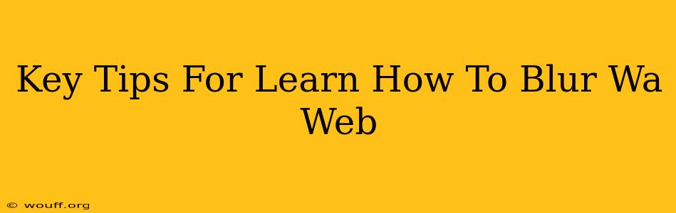 Key Tips For Learn How To Blur Wa Web