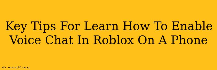 Key Tips For Learn How To Enable Voice Chat In Roblox On A Phone