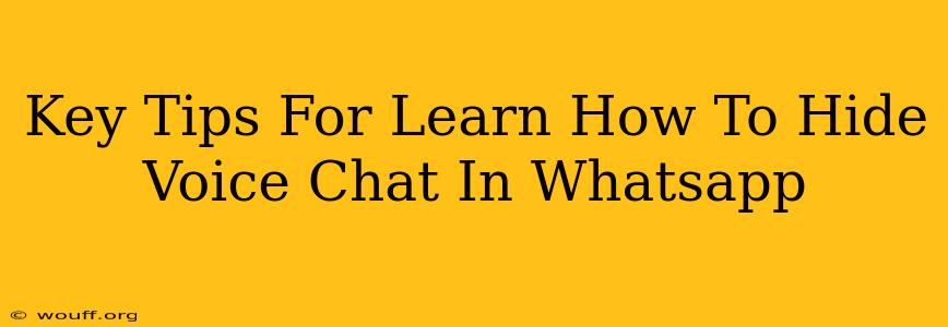 Key Tips For Learn How To Hide Voice Chat In Whatsapp