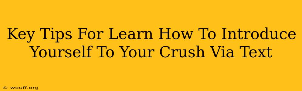 Key Tips For Learn How To Introduce Yourself To Your Crush Via Text