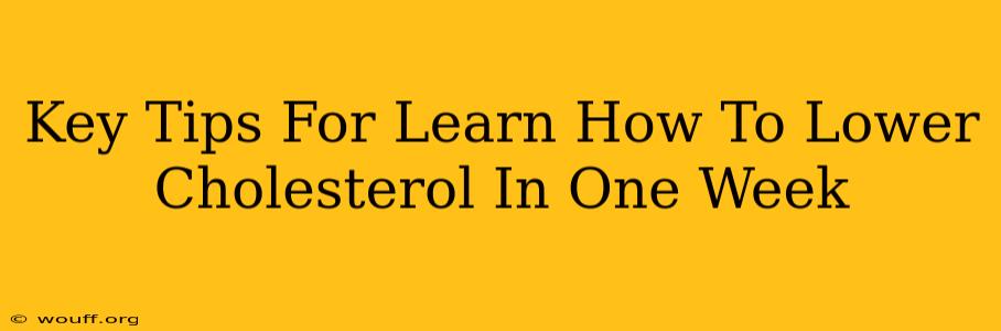 Key Tips For Learn How To Lower Cholesterol In One Week