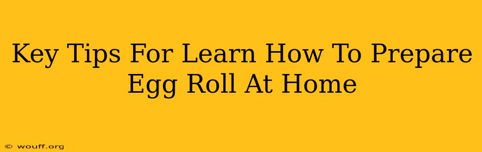 Key Tips For Learn How To Prepare Egg Roll At Home