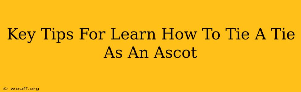 Key Tips For Learn How To Tie A Tie As An Ascot