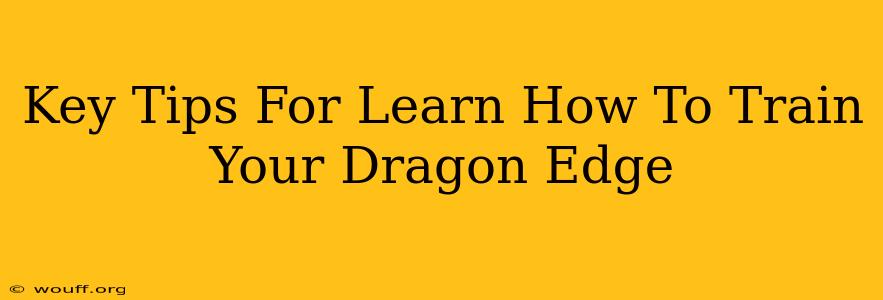 Key Tips For Learn How To Train Your Dragon Edge