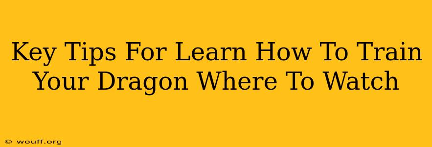 Key Tips For Learn How To Train Your Dragon Where To Watch