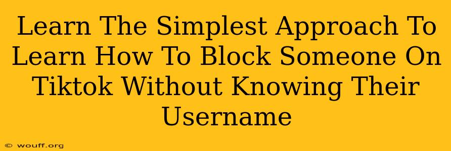 Learn The Simplest Approach To Learn How To Block Someone On Tiktok Without Knowing Their Username