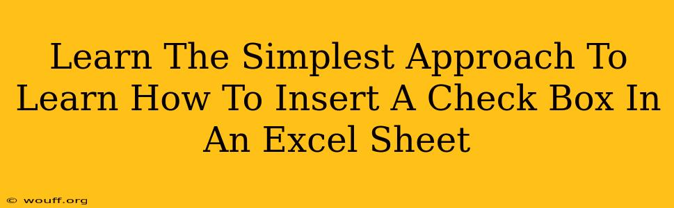 Learn The Simplest Approach To Learn How To Insert A Check Box In An Excel Sheet