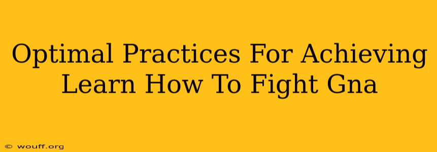 Optimal Practices For Achieving Learn How To Fight Gna