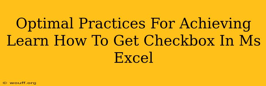 Optimal Practices For Achieving Learn How To Get Checkbox In Ms Excel