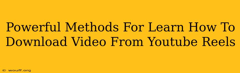 Powerful Methods For Learn How To Download Video From Youtube Reels