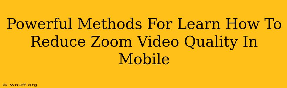 Powerful Methods For Learn How To Reduce Zoom Video Quality In Mobile