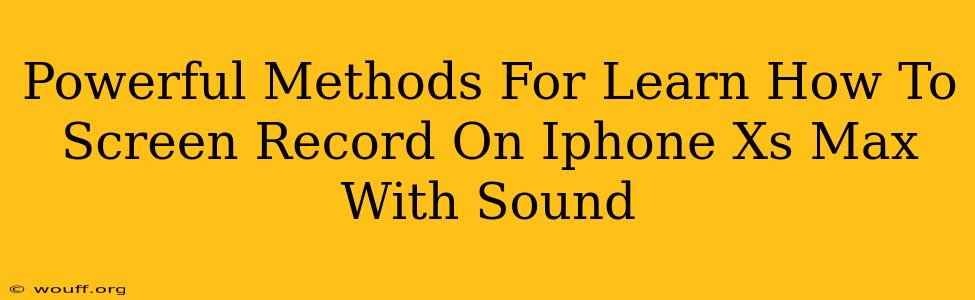 Powerful Methods For Learn How To Screen Record On Iphone Xs Max With Sound