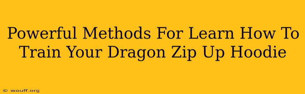 Powerful Methods For Learn How To Train Your Dragon Zip Up Hoodie