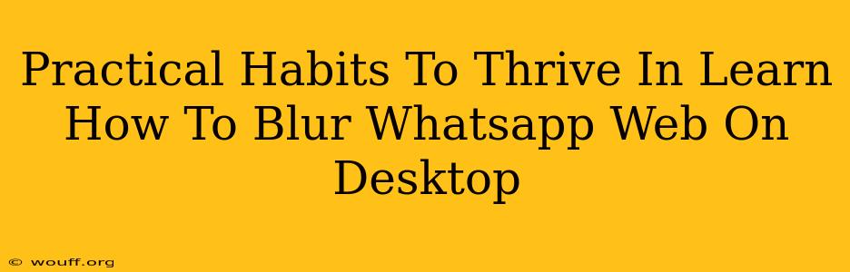 Practical Habits To Thrive In Learn How To Blur Whatsapp Web On Desktop