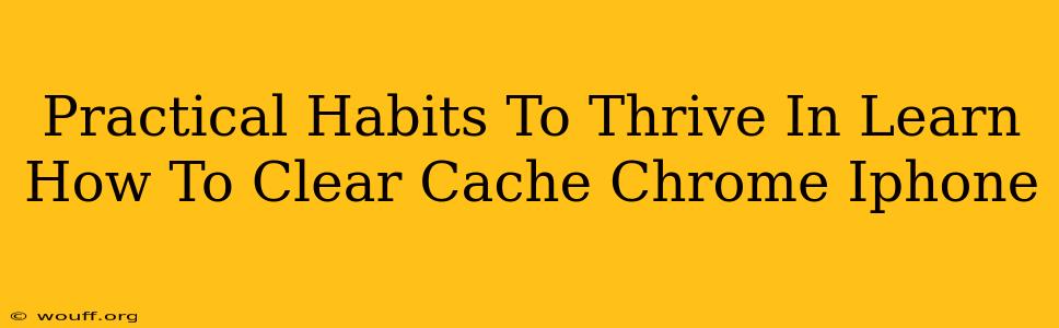 Practical Habits To Thrive In Learn How To Clear Cache Chrome Iphone