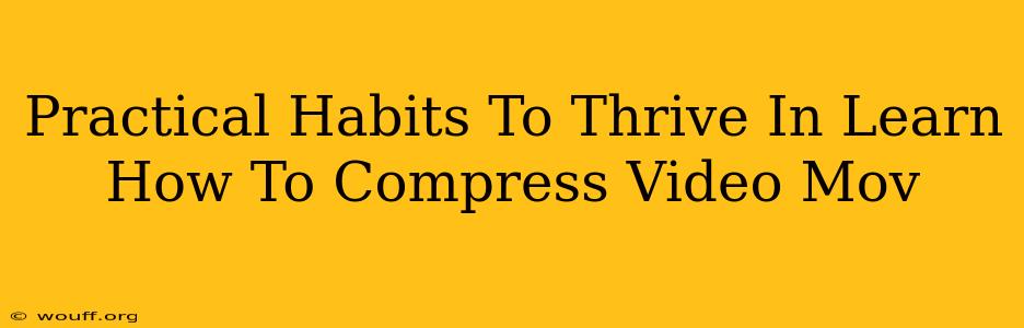 Practical Habits To Thrive In Learn How To Compress Video Mov