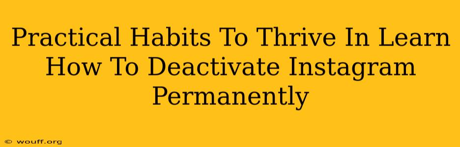 Practical Habits To Thrive In Learn How To Deactivate Instagram Permanently