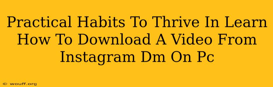 Practical Habits To Thrive In Learn How To Download A Video From Instagram Dm On Pc