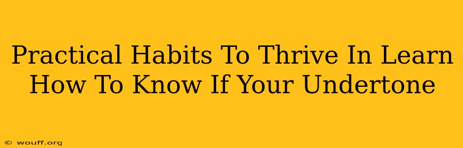 Practical Habits To Thrive In Learn How To Know If Your Undertone