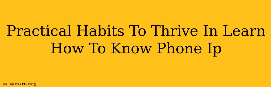 Practical Habits To Thrive In Learn How To Know Phone Ip