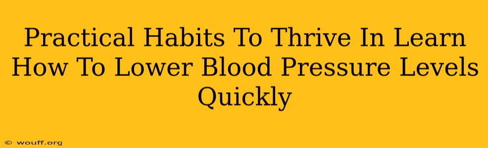 Practical Habits To Thrive In Learn How To Lower Blood Pressure Levels Quickly