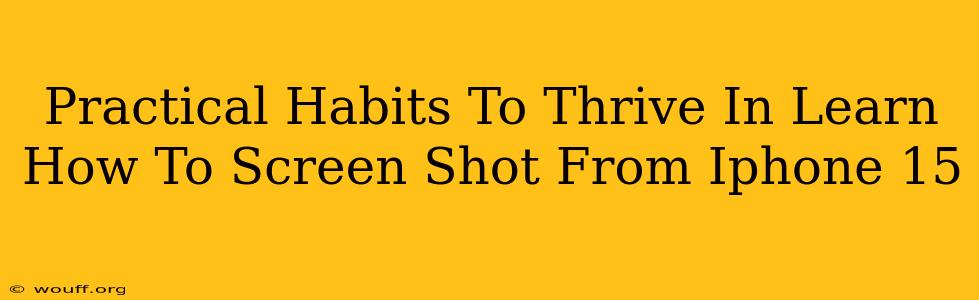 Practical Habits To Thrive In Learn How To Screen Shot From Iphone 15