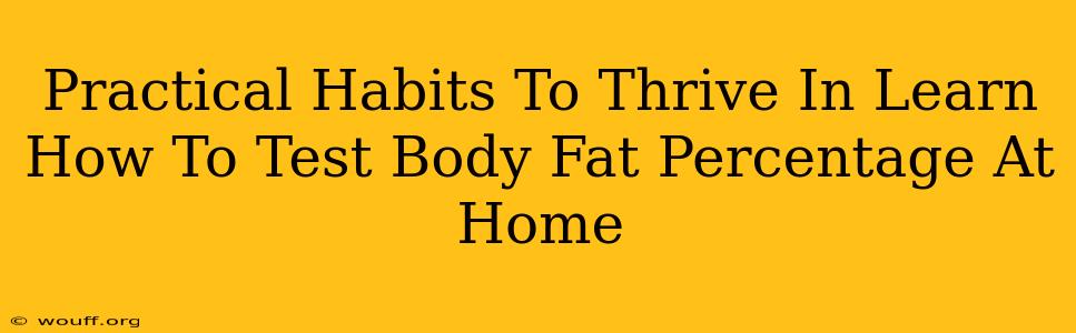 Practical Habits To Thrive In Learn How To Test Body Fat Percentage At Home