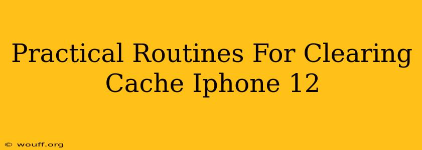 Practical Routines For Clearing Cache Iphone 12