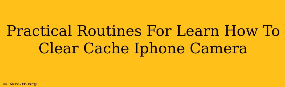 Practical Routines For Learn How To Clear Cache Iphone Camera