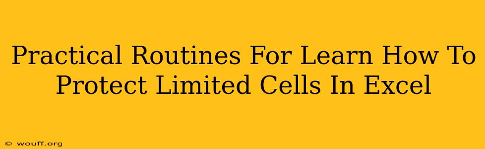 Practical Routines For Learn How To Protect Limited Cells In Excel