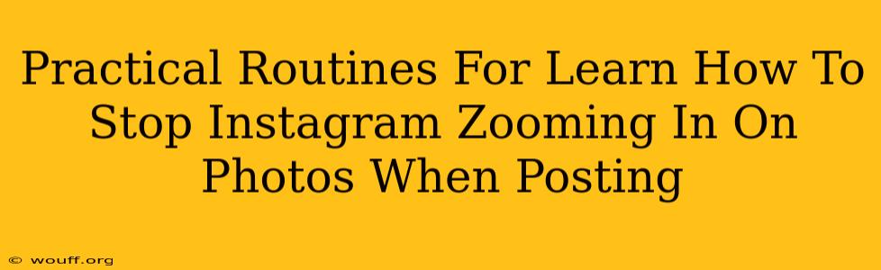 Practical Routines For Learn How To Stop Instagram Zooming In On Photos When Posting