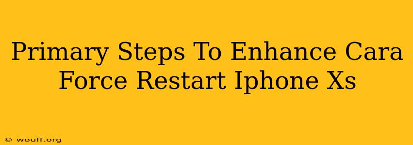 Primary Steps To Enhance Cara Force Restart Iphone Xs