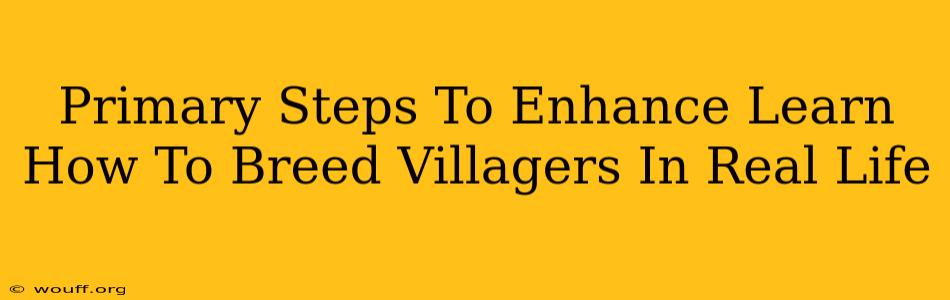 Primary Steps To Enhance Learn How To Breed Villagers In Real Life