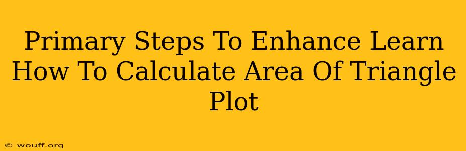 Primary Steps To Enhance Learn How To Calculate Area Of Triangle Plot