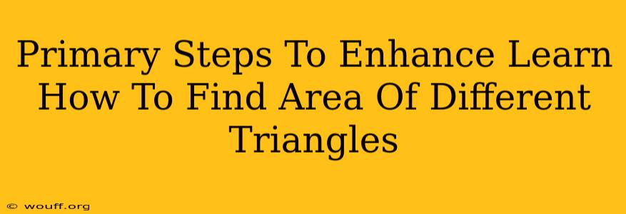 Primary Steps To Enhance Learn How To Find Area Of Different Triangles