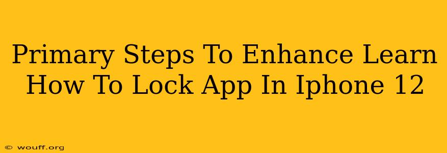 Primary Steps To Enhance Learn How To Lock App In Iphone 12