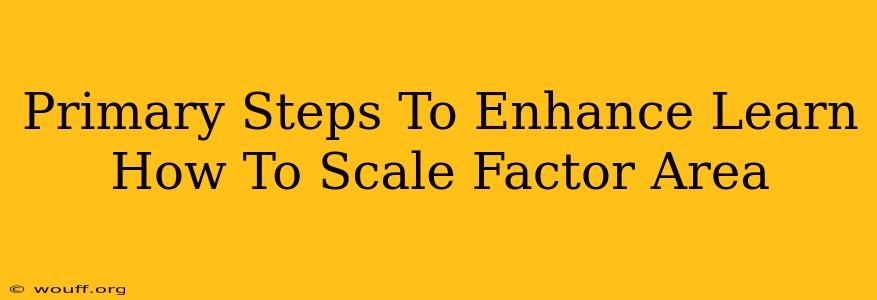 Primary Steps To Enhance Learn How To Scale Factor Area