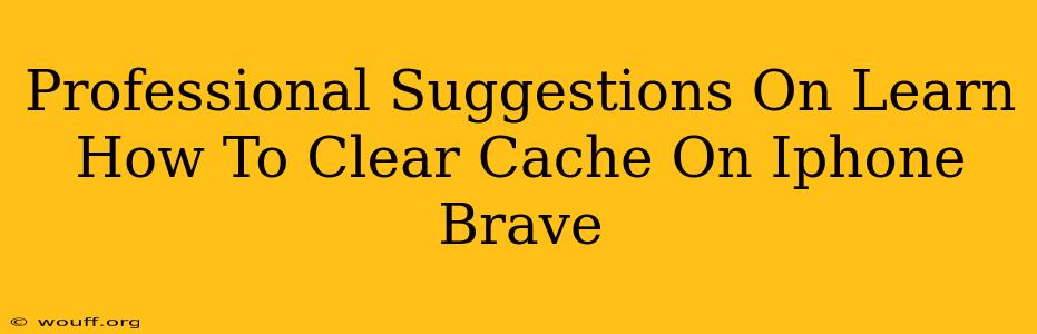 Professional Suggestions On Learn How To Clear Cache On Iphone Brave