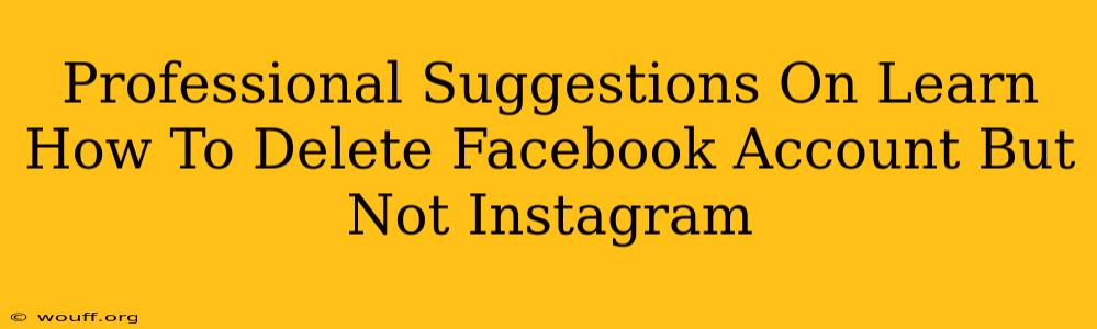 Professional Suggestions On Learn How To Delete Facebook Account But Not Instagram