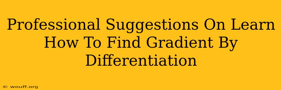 Professional Suggestions On Learn How To Find Gradient By Differentiation