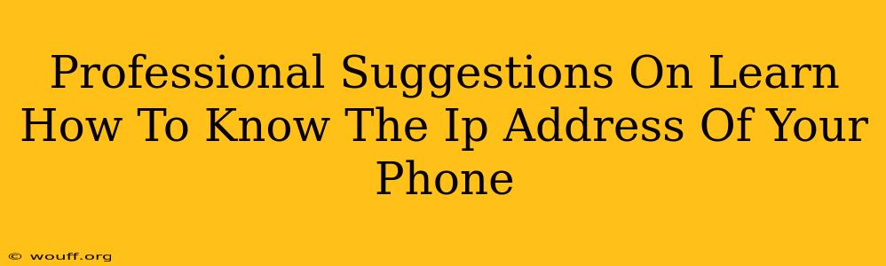 Professional Suggestions On Learn How To Know The Ip Address Of Your Phone