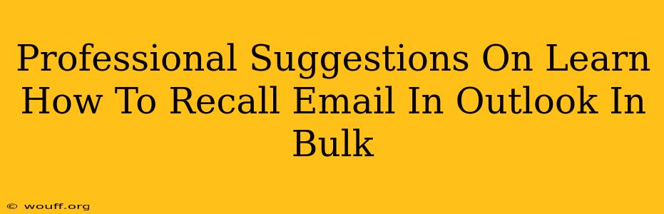 Professional Suggestions On Learn How To Recall Email In Outlook In Bulk