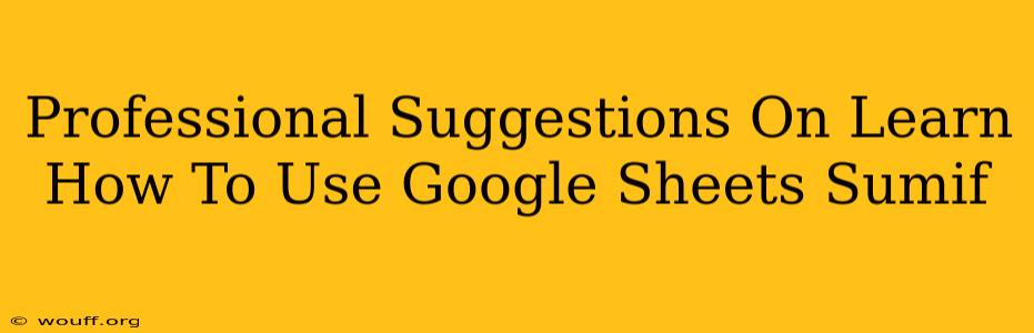 Professional Suggestions On Learn How To Use Google Sheets Sumif