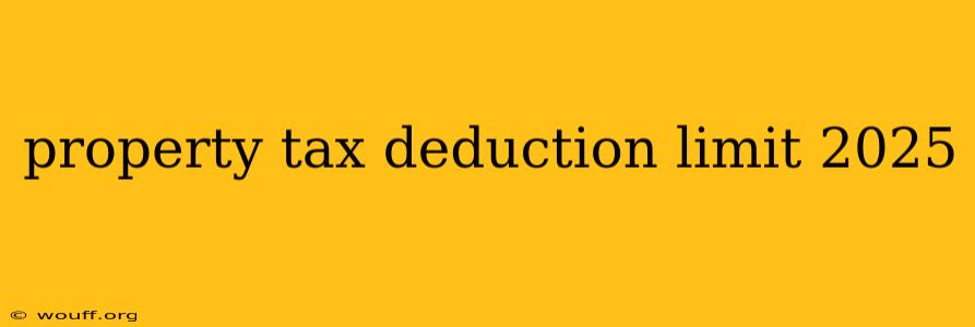 property tax deduction limit 2025